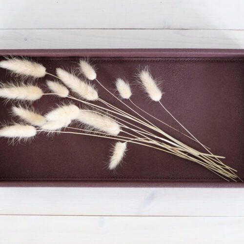 Tarjotin viininpunainen tekonahka