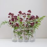 Kapea 4-osioinen maljakko kirkasta lasia